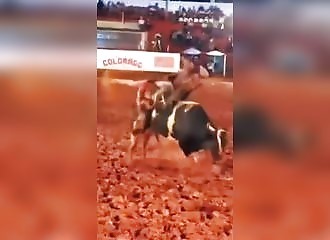 Ce taureau s'éclate avec son cavalier !