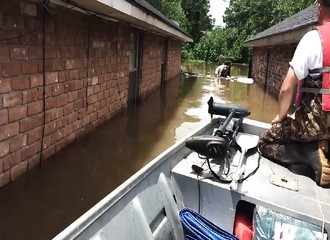 Ils sauvent un chien luttant pour sa vie, pris au piège dans les eaux