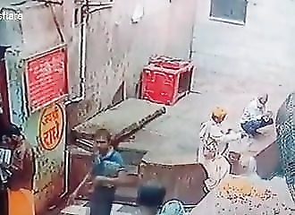 Inde : un singe dérobe le cobra d’un charmeur de serpent