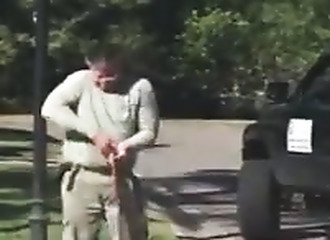 Un alligator refuse de se faire capturer et tente de prendre la fuite dans les égouts