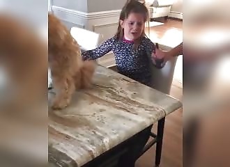Ce qu'ils font à cette petite fille, c'est horrible !
