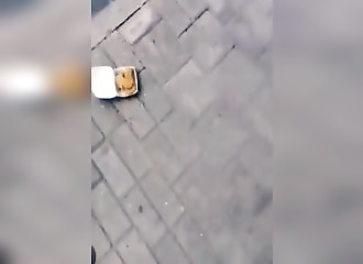 Généreux, un homme apporte à manger à un chien errant