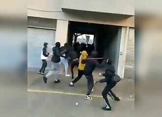   Scum attack police who have come to dismantle a small marijuana plantation  