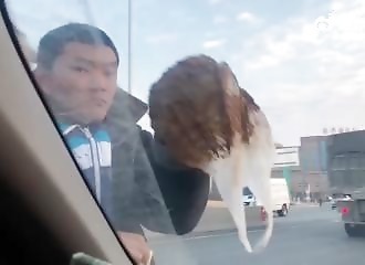 Si vous ne lui donnez pas assez d'argent ... il dégueulasse votre voiture !