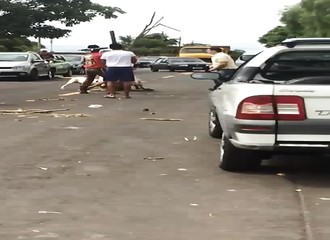 Quatre hommes armés de bâtons battent violemment un pitbull qui s'en prend à une vache