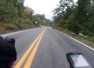 Un cycliste se fait brutalement surprendre par une biche