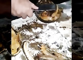 Des tatous pour le dîner…