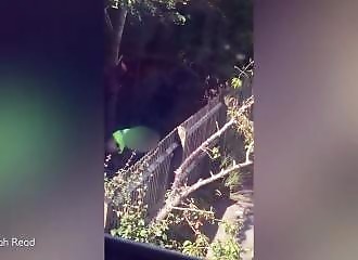 Angleterre : un livreur Amazon laisse un colis indésirable dans le jardin d’une femme