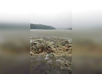 A family panics as they are trapped by rising waters