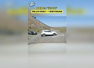 Motorist avoids picnickers but crashes into their car