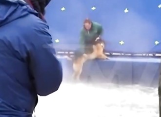A Dog's Purpose : un chien-cascadeur est victime de maltraitance et le web s’enflamme