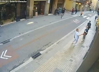 A thief knocks down an old lady while trying to steal her purse