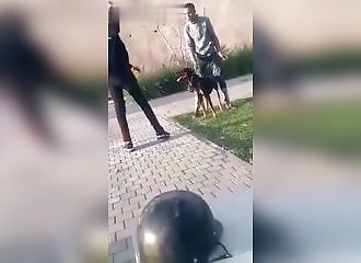 Il frappe un doberman sans raison, et le regrette immédiatement !