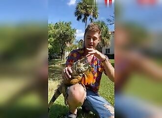 Il teste la puissance de la morsure d'un iguane