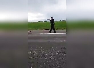Police officer kills two escaped dogs blocking the road