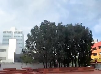 11 pompiers blessés lors d’un gigantesque incendie à Los Angeles