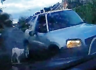 He walks his dogs by attaching them to his rear-view mirrors
