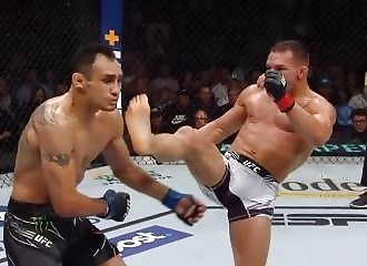 Compilation of the best Ultimate Fight Championship 2022 KOs