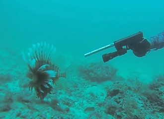 Il part à la chasse au poisson-lion armé d’un Glock