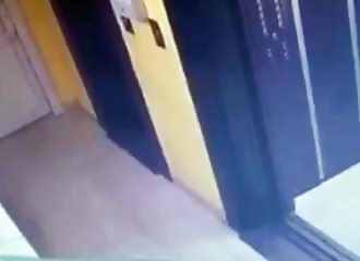 Un garçon et son chiot se font attaquer par un molosse (Russie)