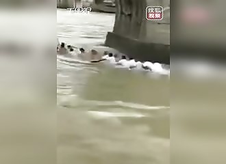 Chine : 11 personnes meurent lors d’une course de bateau-dragon