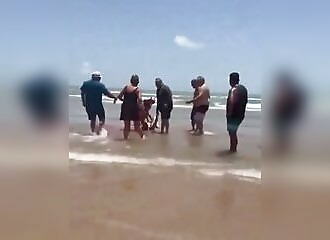 Four sharks attack a Texas beach on July 4, one woman seriously injured