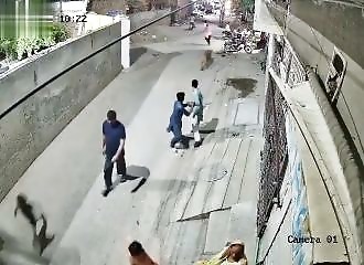 A lion escapes and attacks a family in the street
