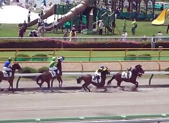 Jockey injured after horse frightened by plane bolts in Hakodate