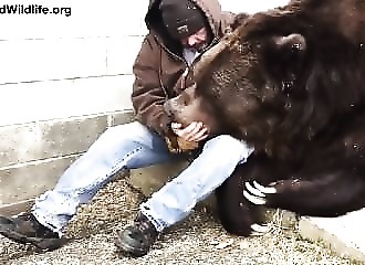 Un homme réconforte son énorme ours de 635 kg