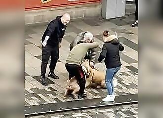 He punches a pit bull in an attempt to make it release its prey