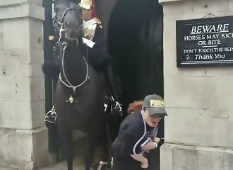 Woman faints after her arm is bitten by a Royal Guard horse