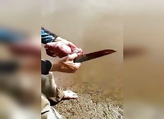 Un pêcheur découvre une canette de bière dans le ventre d’un poisson