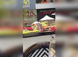 Une envie de chocolat, ça ne se contrôle pas !