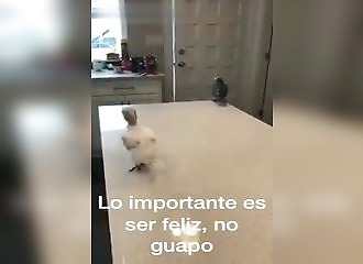 L'important c’est d'être heureux, pas d'être beau !