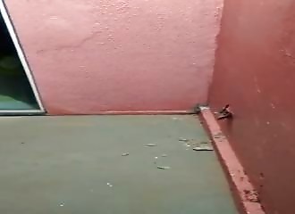 Tirer dans un trou au fusil à pompe