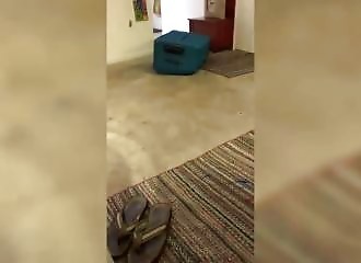 She laughs at her boyfriend locked in a suitcase, he dies a few hours later (Audience)