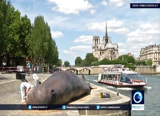 Le cadavre d’une baleine sur les quais de la Seine à Paris