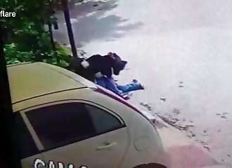 Inde : un chien fait passer un sale quart d’heure à un voleur