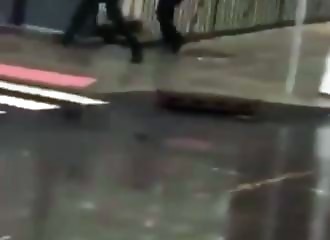 Six morts, dont un policier, lors d’une fusillade à Jersey City (New York)