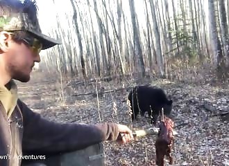 Canada : un randonneur intrépide donne de la viande à un ours