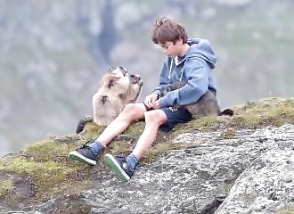 Matteo Walch, l’enfant qui parlait à l’oreille des marmottes