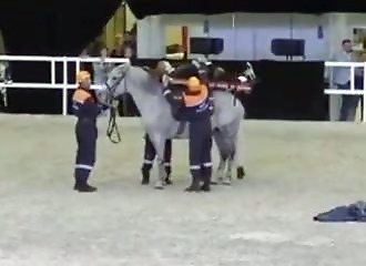 Une démonstration de secourisme avec un cheval vire à la tragédie…
