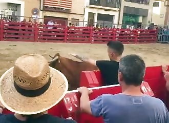 Un homme prend trop d’assurance face à un taureau et le regrette violemment (Espagne)
