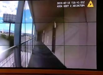 Floride : il sort de chez lui pour promener ses chiens et se fait attaquer par un pitbull