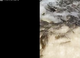 Après la décrue, des milliers de poissons se retrouvent piégés dans une maison (Vietnam)