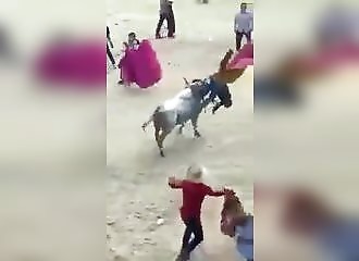 Ils taquinent un taureau apathique, jusqu'à ce que ... 