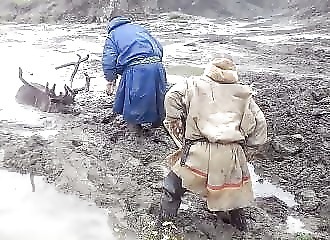 Russie : ils sauvent un renne coincé dans la boue