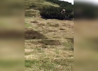 Alors qu’il y a un énorme ours dans son dos, un enfant fait preuve d’un calme extraordinaire (Italie)
