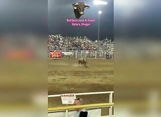 Bull escapes, injuring two at rodeo