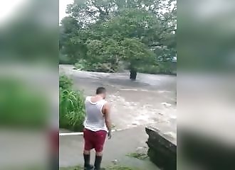 Un homme met sa vie en danger pour sauver un chien emporté par les eaux